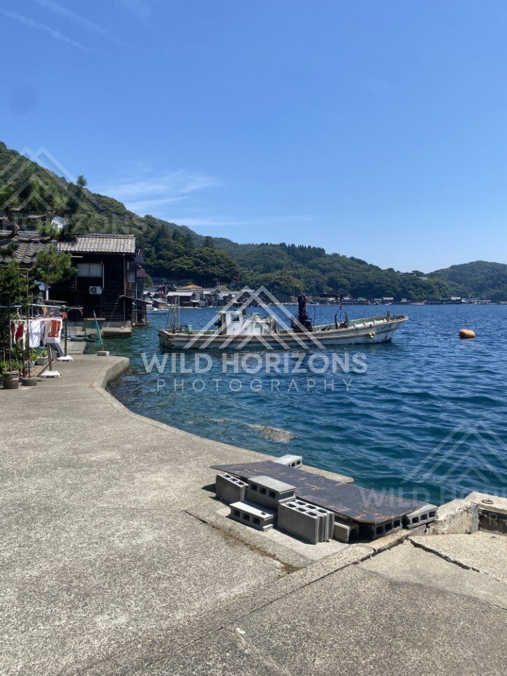Vertical view of a harbour boat with the funaya shoreline behind. Ine, Japan
