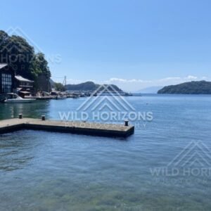 Looking across the bay to boathouses and green hills under summer light. Ine, Japan