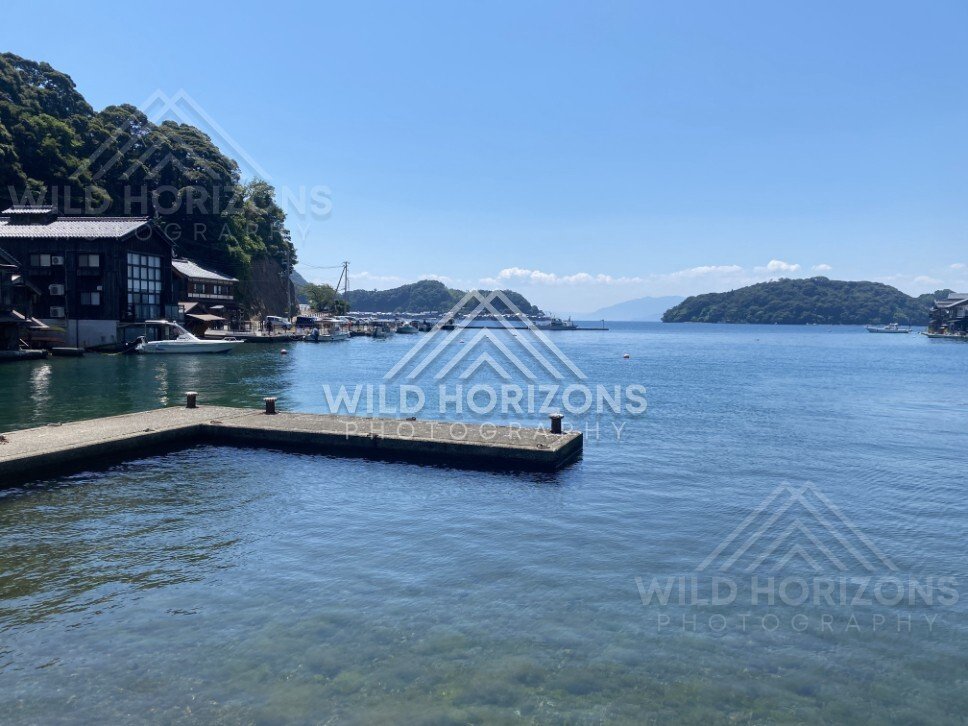 Looking across the bay to boathouses and green hills under summer light. Ine, Japan
