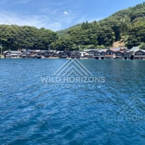 Wide bay scene with clustered boathouses at the base of forested slopes. Ine, Japan