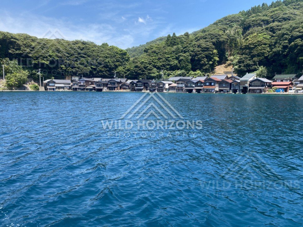Wide bay scene with clustered boathouses at the base of forested slopes. Ine, Japan