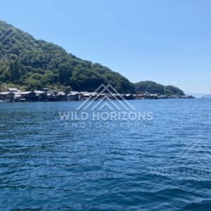 Open-water perspective of the bay with the village hugging the shoreline. Ine, Japan