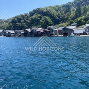 Close view of the funaya waterfront with boats and hillside homes. Ine, Japan