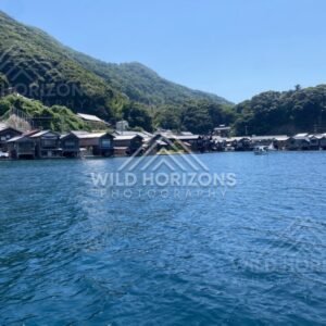 Vertical bay view with boathouses curving around the shoreline and mountains behind. Ine, Japan
