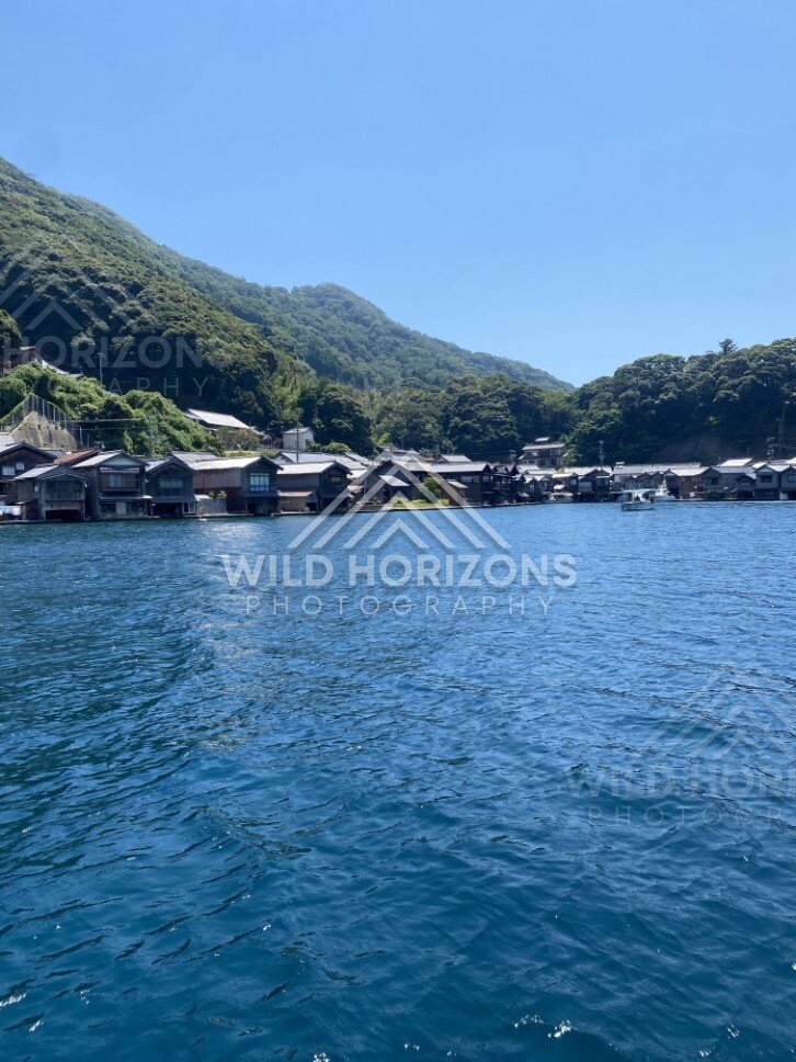 Vertical bay view with boathouses curving around the shoreline and mountains behind. Ine, Japan