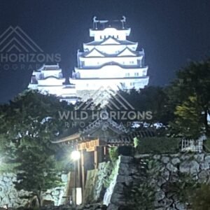 Himeji Castle Glowing White Above an Ancient Stone Gate at Night. Himeji Castle, Japan.