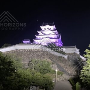Himeji Castle Overlooking Stone Ramparts and Night Pathways. Himeji Castle, Japan.