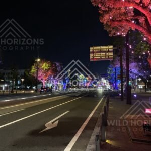 City Boulevard Lined With Colourful Illuminated Trees After Dark. Himeji, Japan.