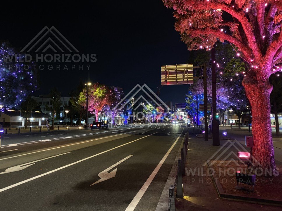 City Boulevard Lined With Colourful Illuminated Trees After Dark. Himeji, Japan.
