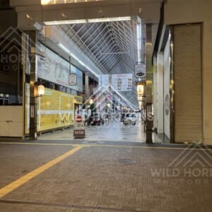 Entrance to a Covered Shopping Arcade With Neon Signage at Night. Nishinikai-machi Shopping Street, Japan.