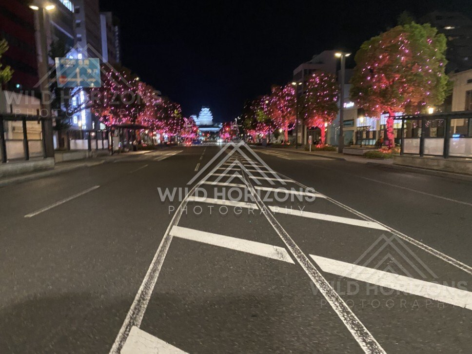 Illuminated Tree-Lined Boulevard Leading Toward Himeji Castle at Night. Himeji Castle, Japan.