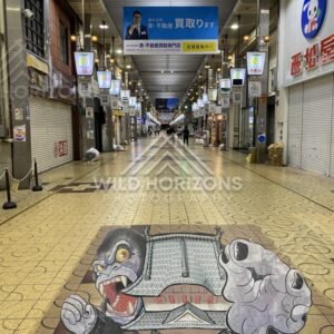Covered Shopping Arcade With a Giant Mural Painted on the Floor. Miyuki Street Shopping Arcade, Japan.