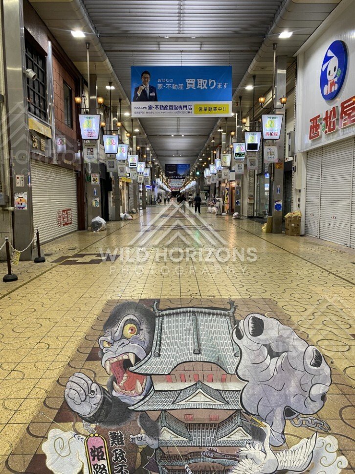 Covered Shopping Arcade With a Giant Mural Painted on the Floor. Miyuki Street Shopping Arcade, Japan.