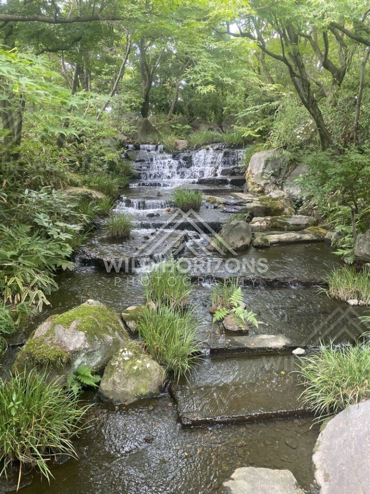 Stepping Stones and Small Cascades Flowing Through a Garden Stream. Koko-en Garden, Japan.