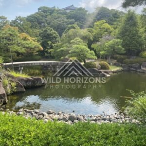 Stone Bridge Crossing a Koi Pond With Castle Rooftops Above the Trees. Koko-en Garden, Japan.