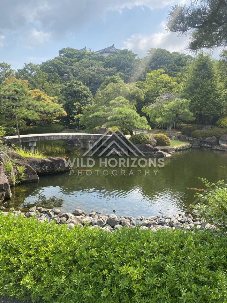Stone Bridge Crossing a Koi Pond With Castle Rooftops Above the Trees. Koko-en Garden, Japan.