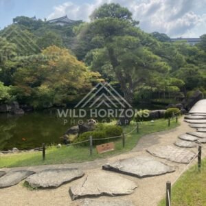 Stepping-Stone Path Beside a Pond and Sculpted Pine Tree. Koko-en Garden, Japan.
