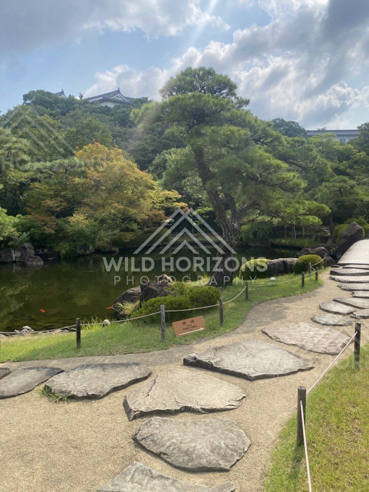 Stepping-Stone Path Beside a Pond and Sculpted Pine Tree. Koko-en Garden, Japan.