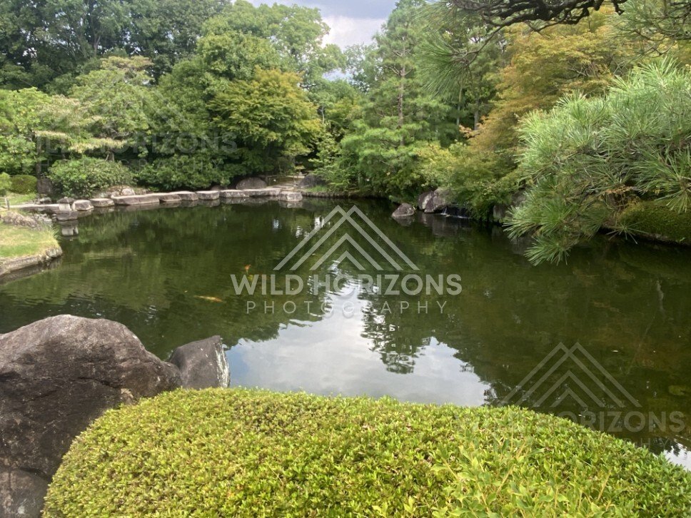 Koi Swimming in a Still Pond at Koko-en Garden. Himeji, Japan.