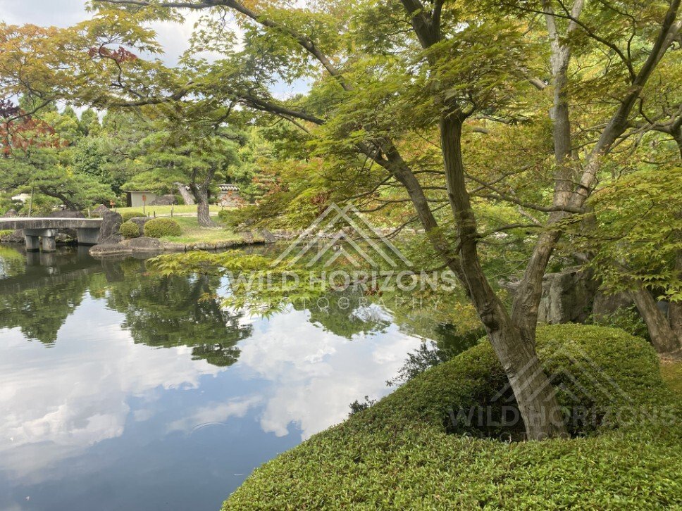 Maple Branches Framing Mirror-Like Water at Koko-en Garden. Himeji, Japan.