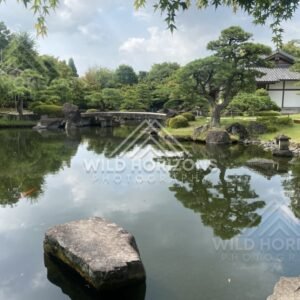 Garden Pavilion and Pines Across the Pond at Koko-en Garden. Himeji, Japan.