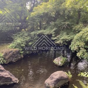 Shaded Rocky Stream in Koko-en Garden. Himeji, Japan.