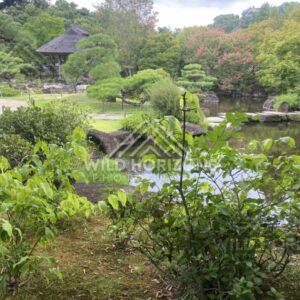 Himeji Castle Rising Above Koko-en Garden. Himeji, Japan.