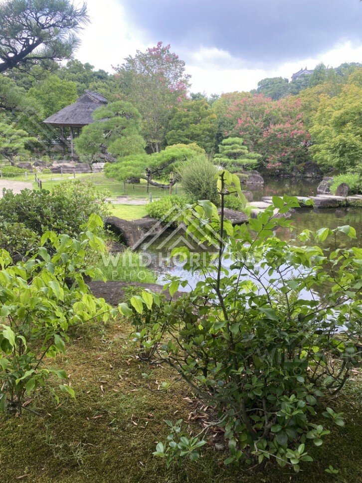 Himeji Castle Rising Above Koko-en Garden. Himeji, Japan.