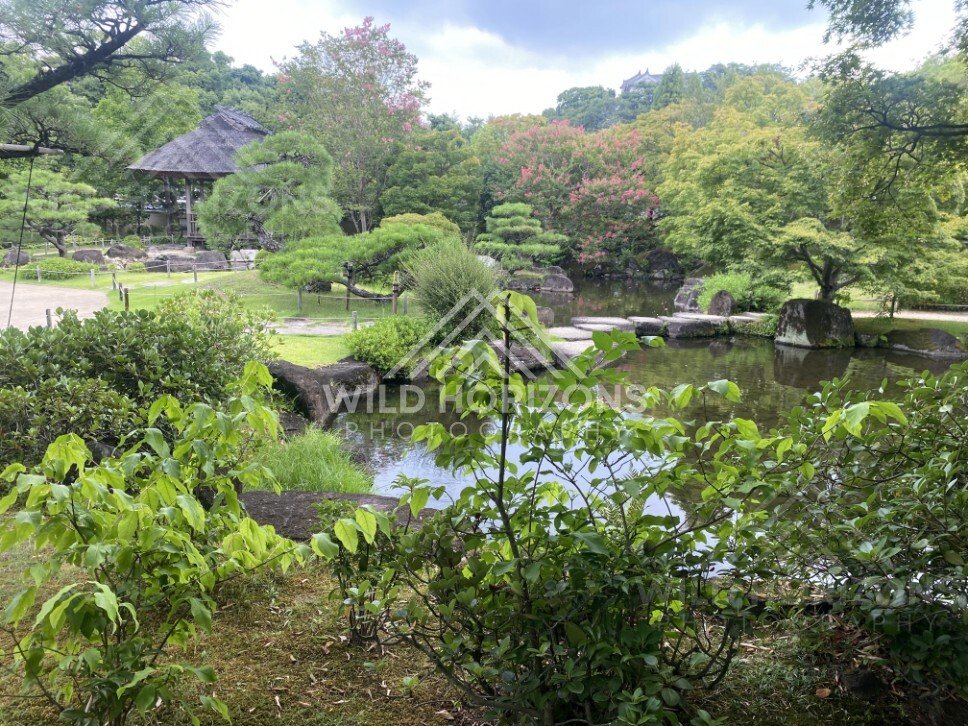 Garden Pond and Pavilion Below Himeji Castle at Koko-en Garden. Himeji, Japan.