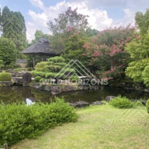 Thatched Pavilion and Pink Blossoms at Koko-en Garden. Himeji, Japan.