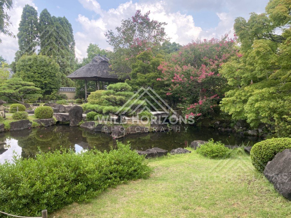 Thatched Pavilion and Pink Blossoms at Koko-en Garden. Himeji, Japan.