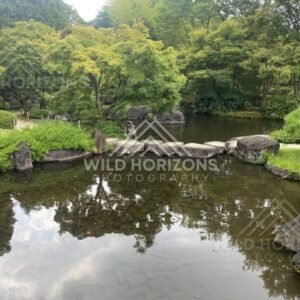 Stepping-Stone Crossing Over Clear Water at Koko-en Garden. Himeji, Japan.
