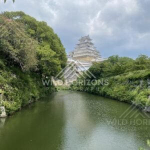 Himeji Castle Rising Above a Green Moat Under Summer Clouds. Himeji, Japan.