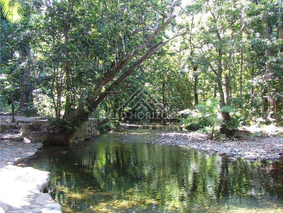 Still rainforest pool beside stone-edged bank and leaning trees. Daintree Rainforest, Australia.