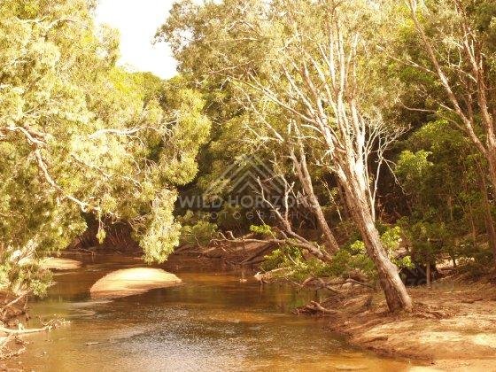 Beside the Archer River, golden afternoon light filters through riverside trees and reflections. Archer River, Australia.