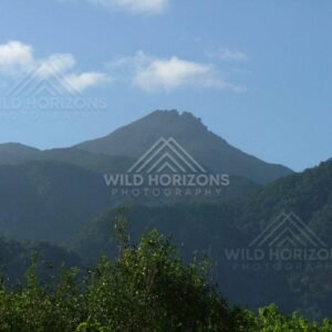 Forest-covered mountain peak above tropical canopy. Daintree Rainforest, Australia.