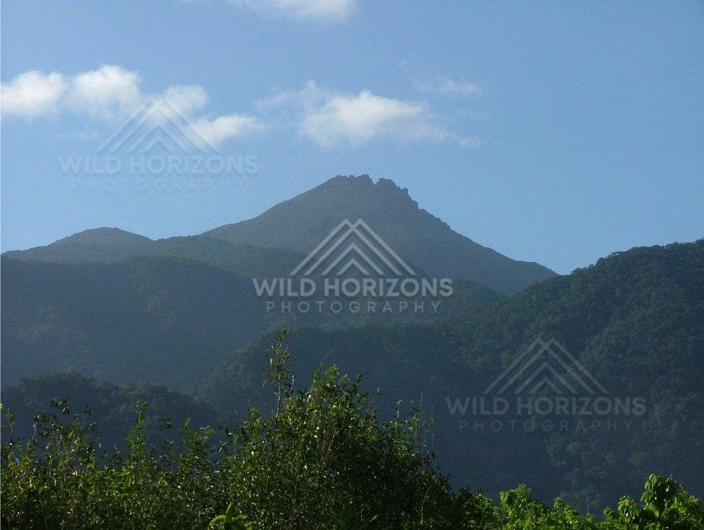 Forest-covered mountain peak above tropical canopy. Daintree Rainforest, Australia.