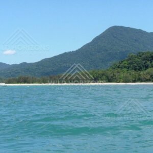 Tropical coastline with forested mountains above turquoise sea. Daintree Coastline, Australia.