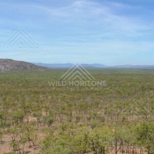 Expansive savannah plains stretching toward distant hills. Lower Cape York, Australia.