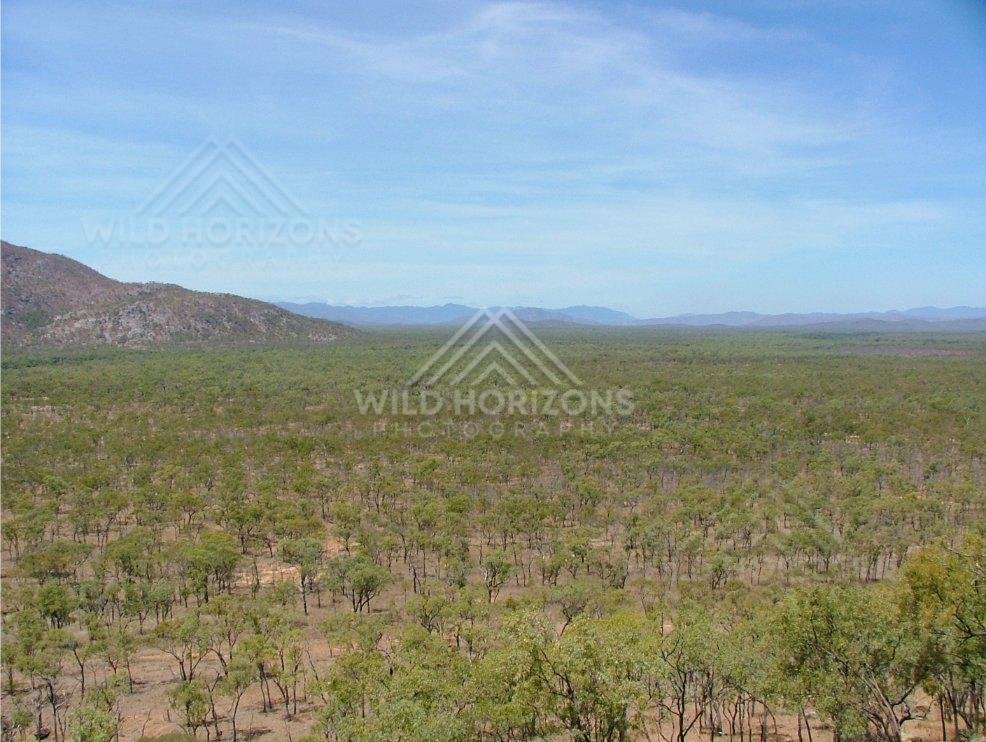 Expansive savannah plains stretching toward distant hills. Lower Cape York, Australia.