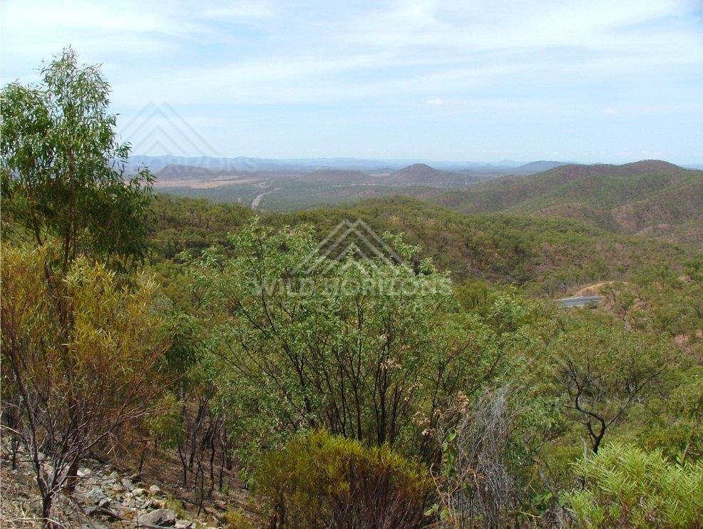 Rolling bushland landscape viewed from rocky ridge. Lower Cape York, Australia.