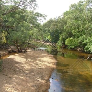 Shaded river bend with sandy bank and overhanging trees. Lower Cape York, Australia.