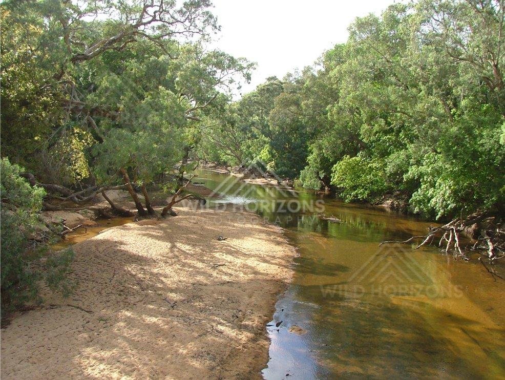 Shaded river bend with sandy bank and overhanging trees. Lower Cape York, Australia.