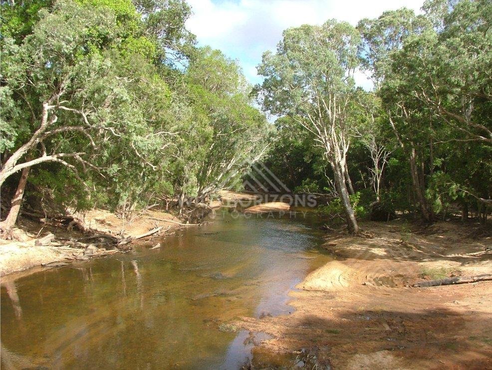 Calm brown-water channel beneath paperbark trees. Archer River, Australia.
