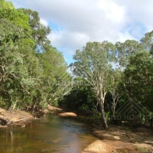 Archer River flowing through tropical woodland in Cape York. Archer River, Australia.