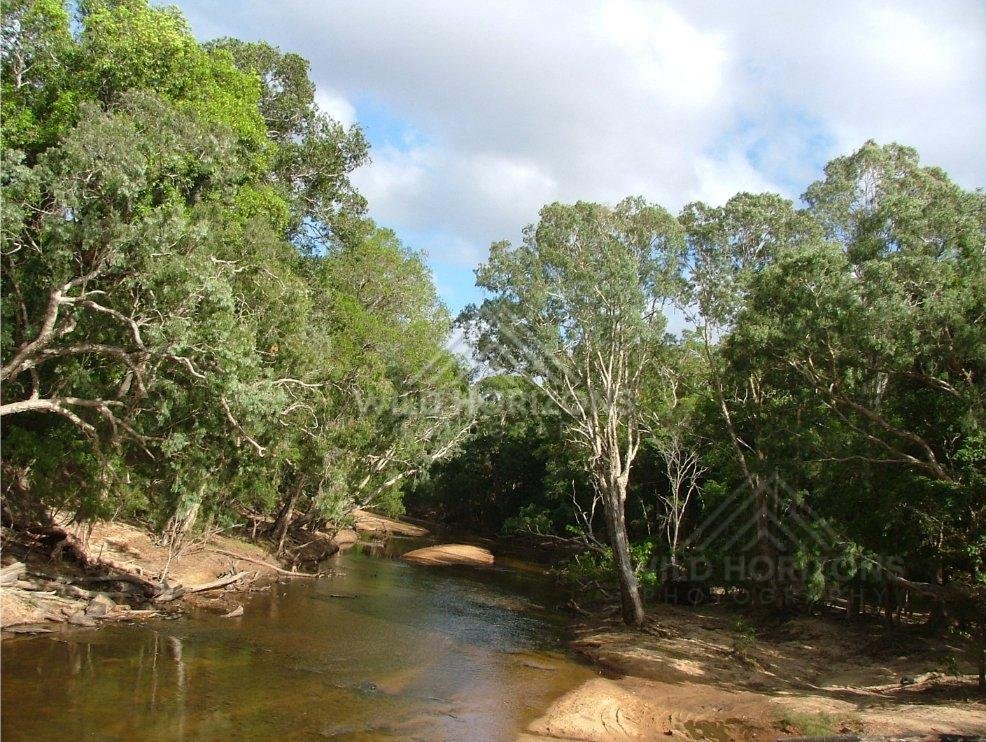 Archer River flowing through tropical woodland in Cape York. Archer River, Australia.