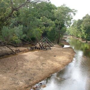 Sandy bend of the Archer River beneath dense rainforest canopy. Archer River, Australia.