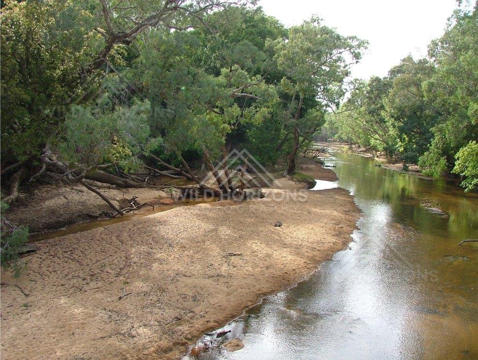 Sandy bend of the Archer River beneath dense rainforest canopy. Archer River, Australia.
