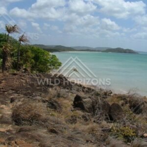 Rocky shoreline viewpoint above calm tropical waters. Seisia, Australia.