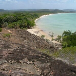 Curving tropical beach backed by coastal woodland from a rocky ridge. Seisia, Australia.